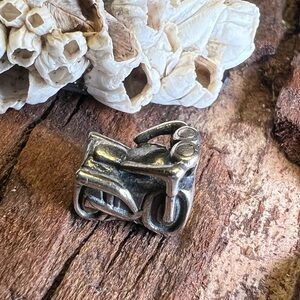 Rare Authentic Chamilia Charm Motorcycle Passion Family Trip Biker Bead 925